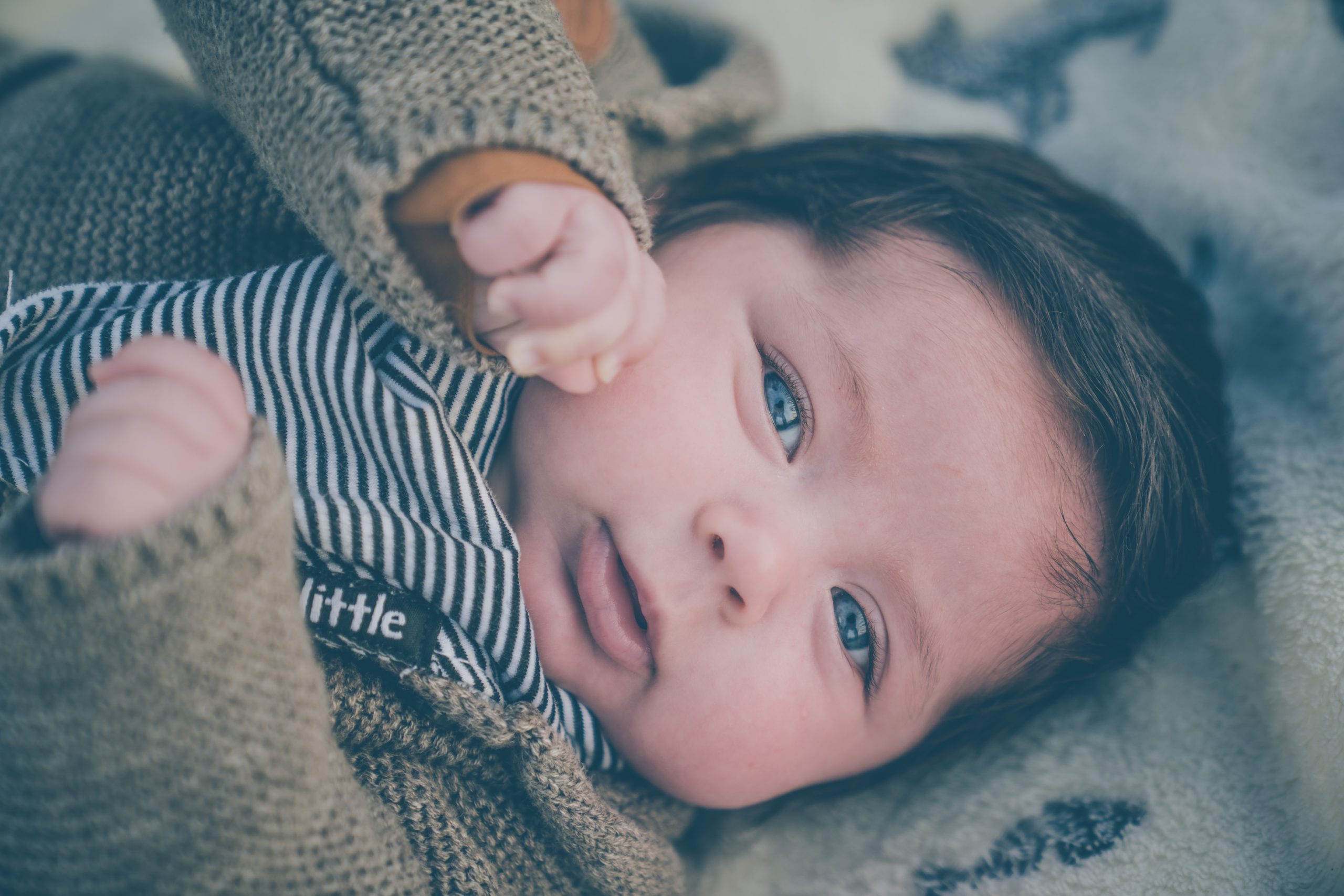 a 3-4 month old infant with blue gray eyes looks directly at the view with a little fist near his cheek.